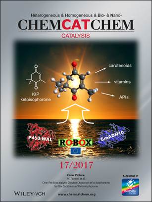 CHEMCATCHEM