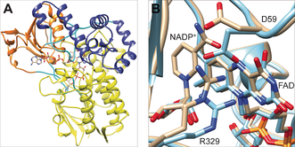 ange201608951 fig 0003 (1)